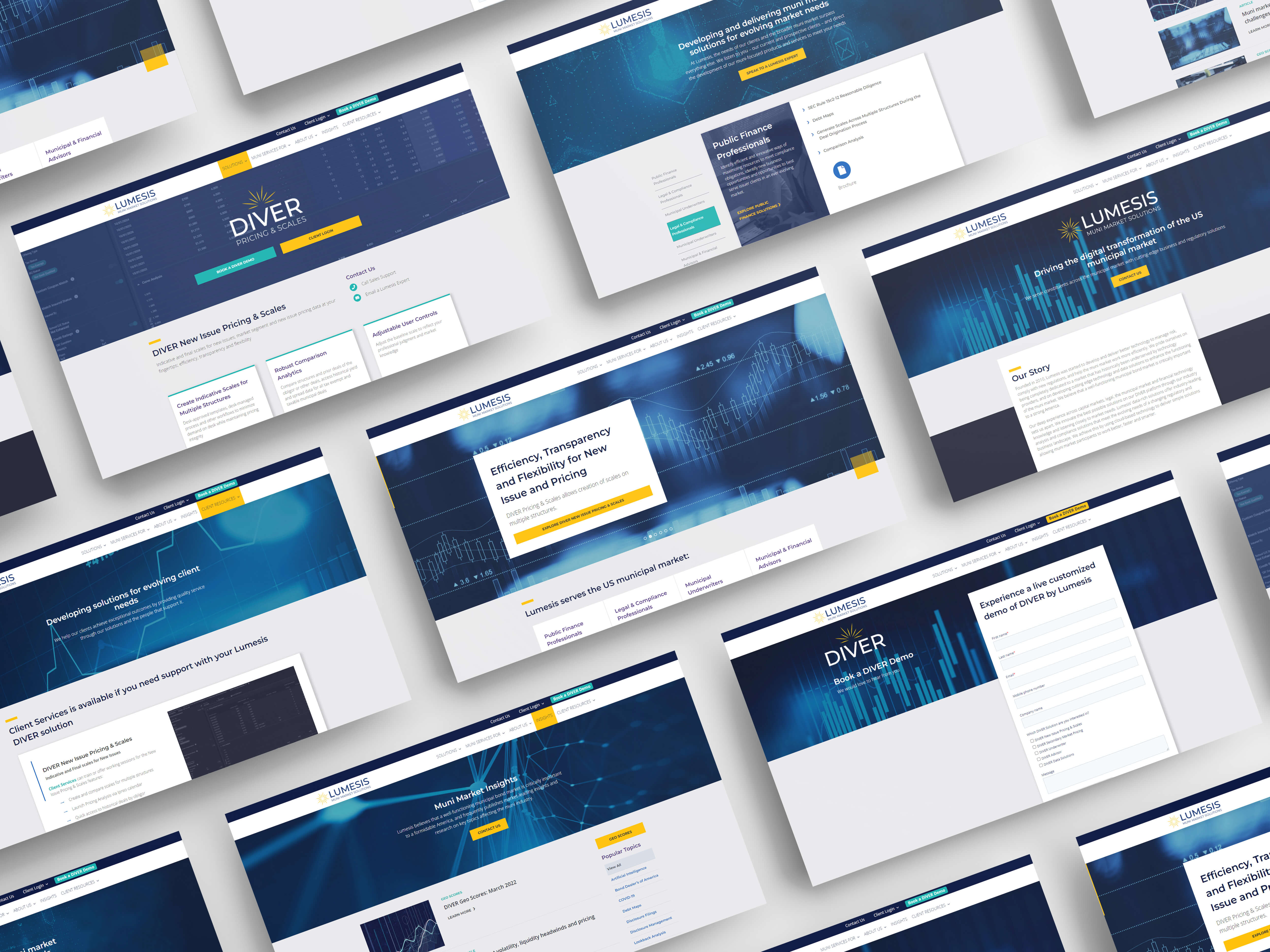 HEEDGROUP_WEB_CG_Lumesis2